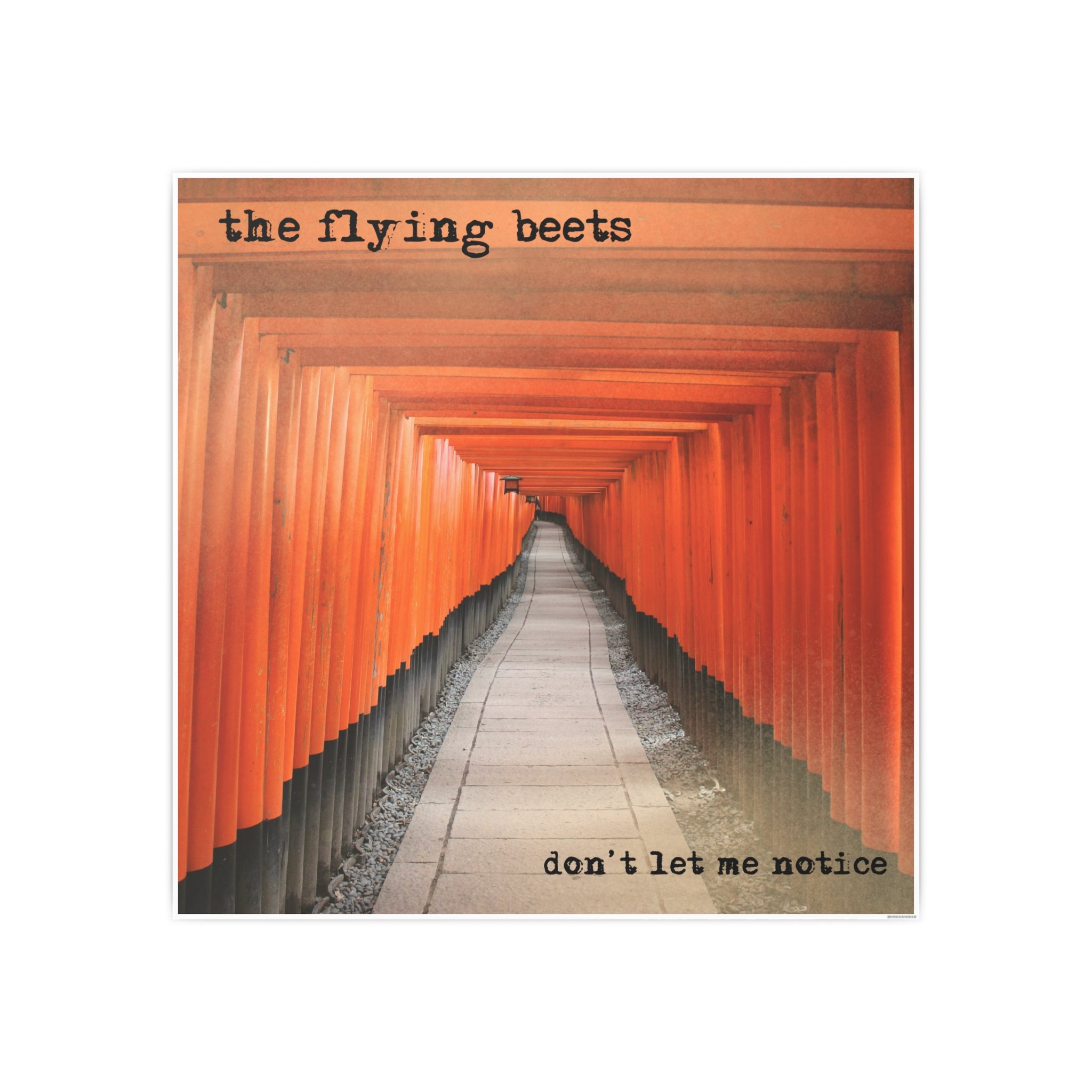 The Flying Beets - Official Album Art Poster Series - Don't Let Me Notice