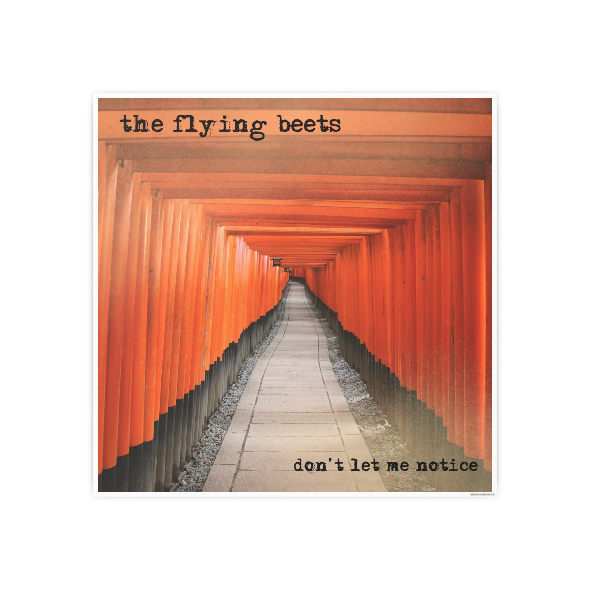 The Flying Beets - Official Album Art Poster Series - Don't Let Me Notice